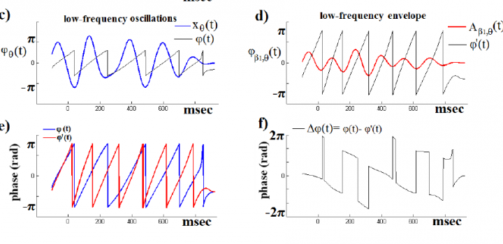 Phase-Amplitude Cross-Frequency Coupling algorithm